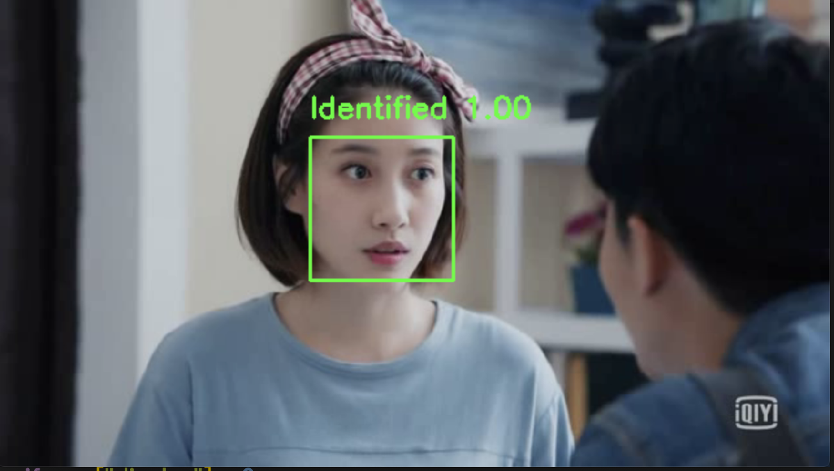 Face Recognition in Video