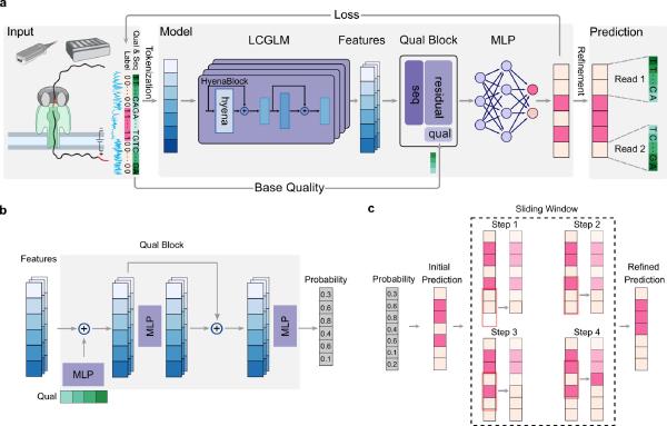 DeepChopper: A Genomic Language Model that Cleans Up Nanopore Direct RNA Sequencing