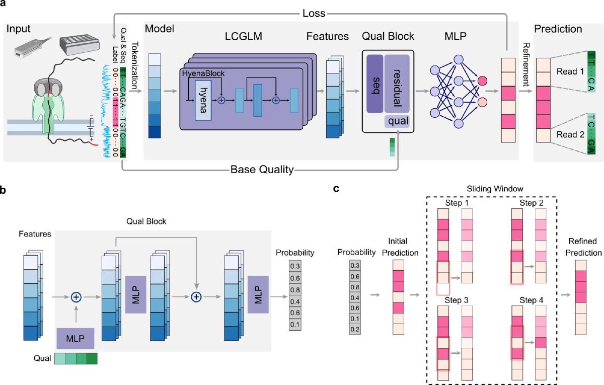 DeepChopper: A Genomic Language Model that Cleans Up Nanopore Direct RNA Sequencing